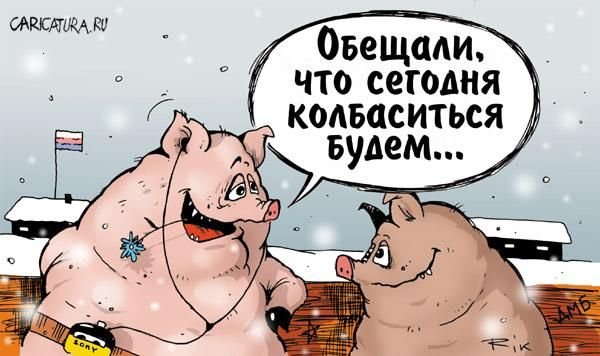 Свинья карикатура