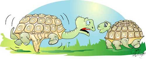 Карикатуры про черепах