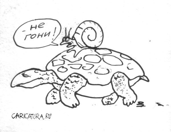 Фразеологизм черепашьим шагом