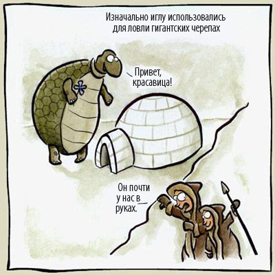 Шутки про черепаху