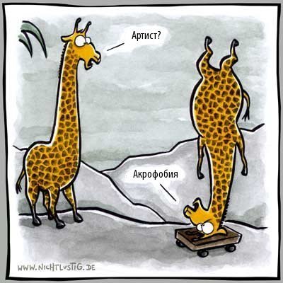 Жирафы юмор