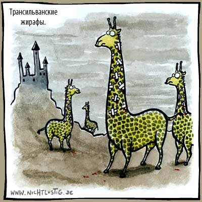 Шутки про жирафа