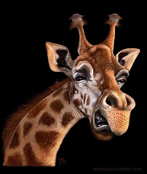 Жираф вектор