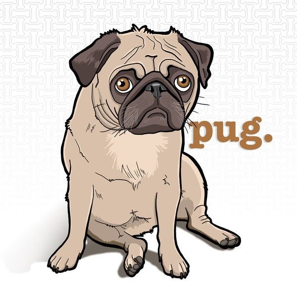 Мопс референс