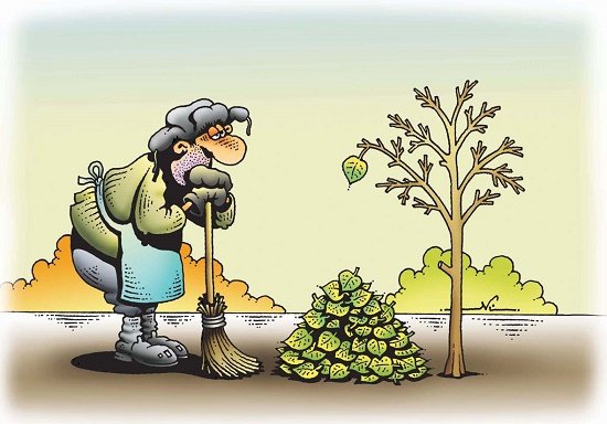 Смешные карикатуры про осень