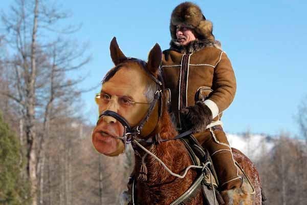 Лавров лошадь