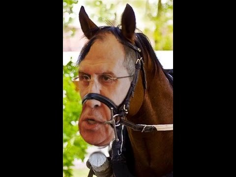 Сергей Лавров лошадь