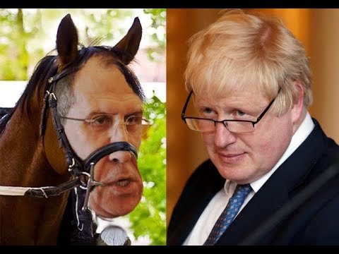 Лавров Сергей конь