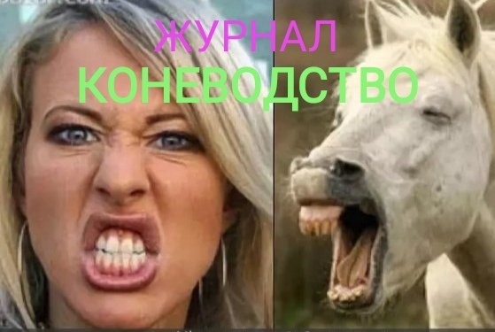 Ксения Собчак лошадь