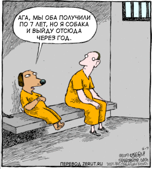 Карикатура потерчласьсобака