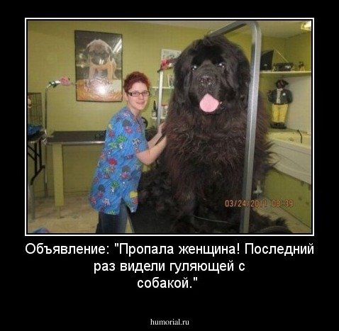 Крушение Советской эпохи в карикатурах журнала "крокодил" за 1991 год.