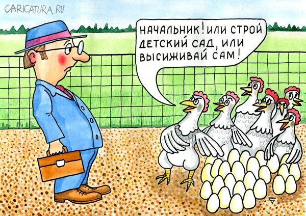 Курятник карикатура