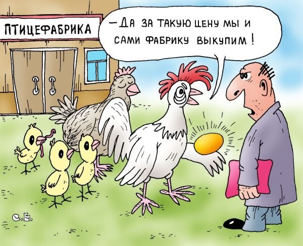 Куры карикатура