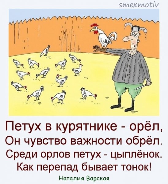 Курятник карикатура