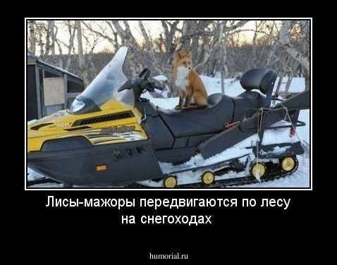 Смешной снегоход