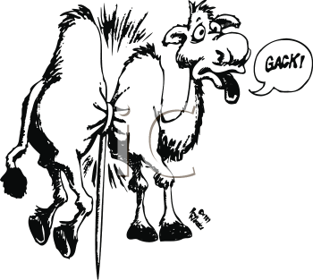 Карикатуры про верблюдов