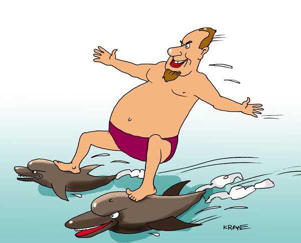 Дельфины карикатура