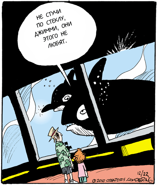 Боевые дельфины России отряд