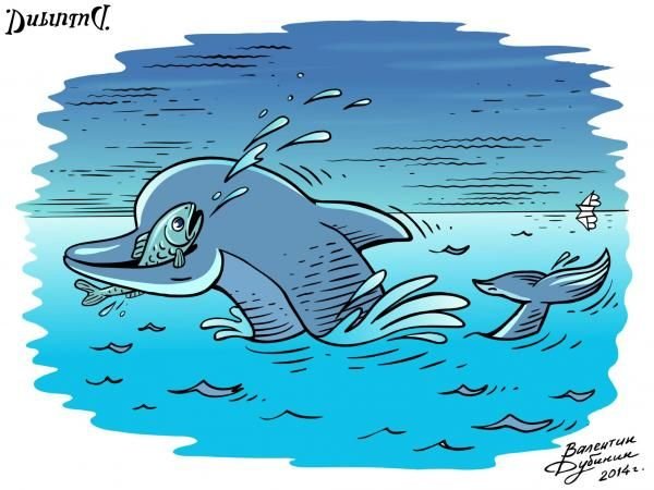 Дельфин карикатуры