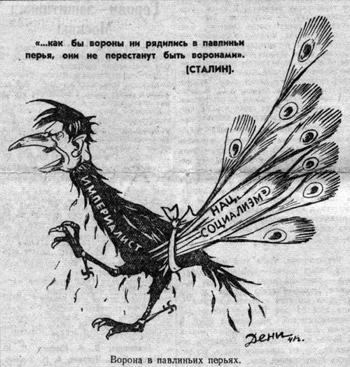 Павлин карикатура