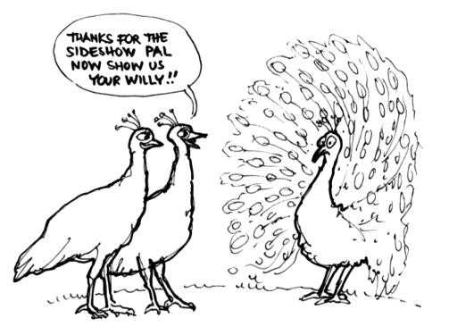 Карикатура на павлина