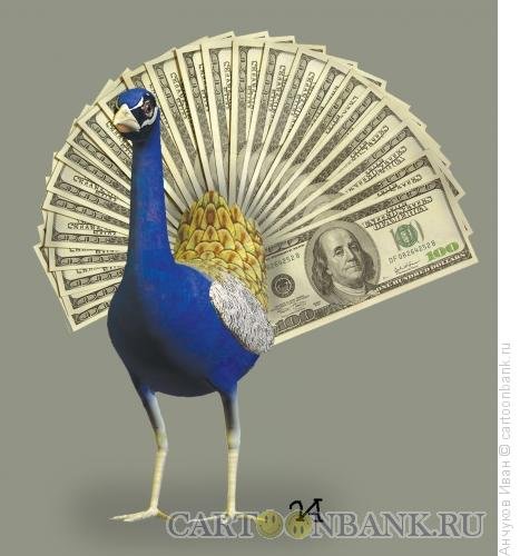 Павлин мультяшный смешной