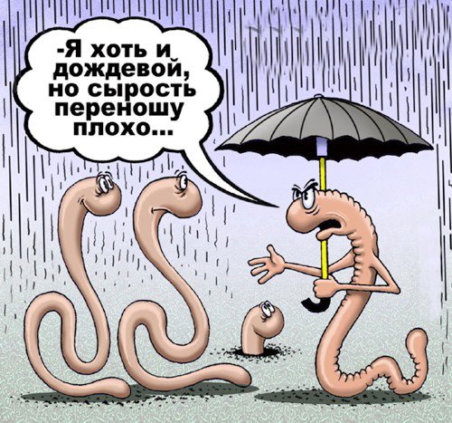 Путин черви ветряки