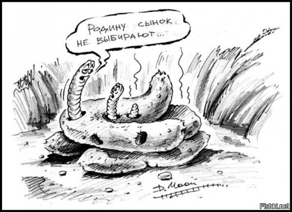 Червяк дождевой карикатура