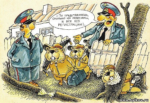 Карикатура на бобра