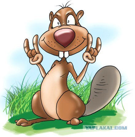 Карикатура на бобра