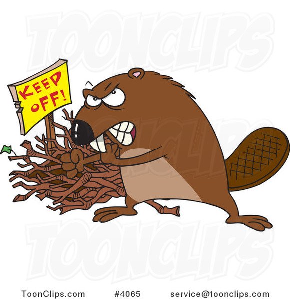 Осторожно бобры