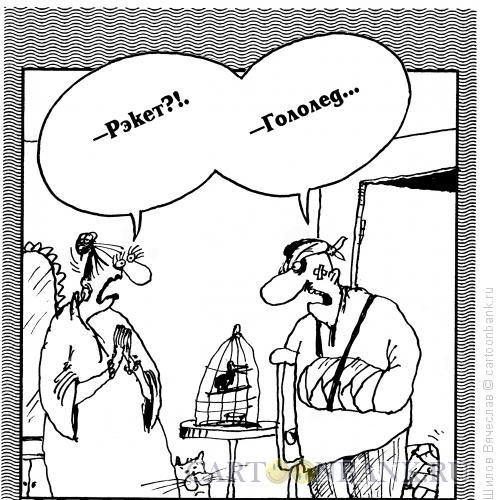 Гололед карикатура