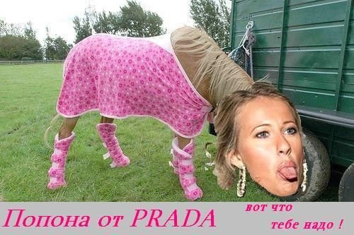 Карикатуры на собчак (49 фото)