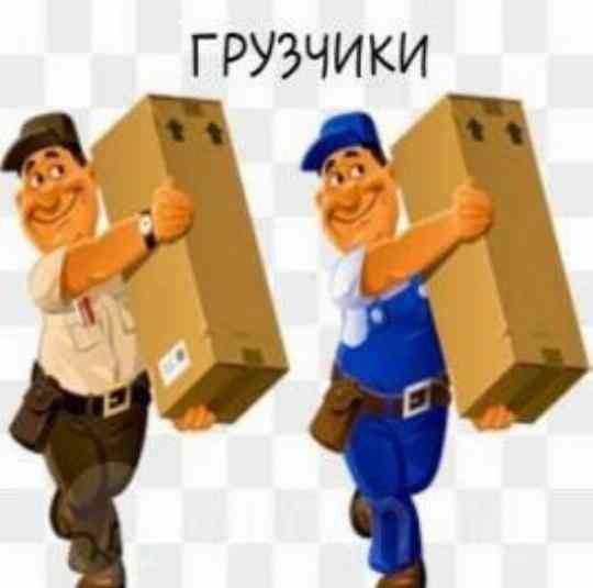 Грузчики карикатура