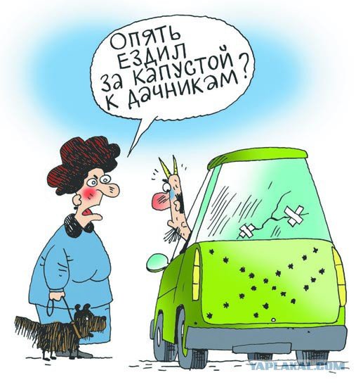 Карикатуры житейские