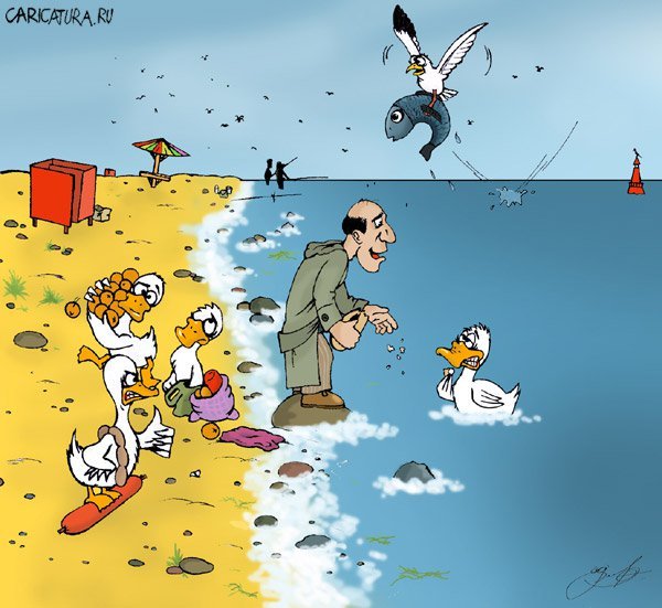 Утенок карикатура