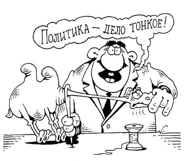 Правозащитники карикатуры