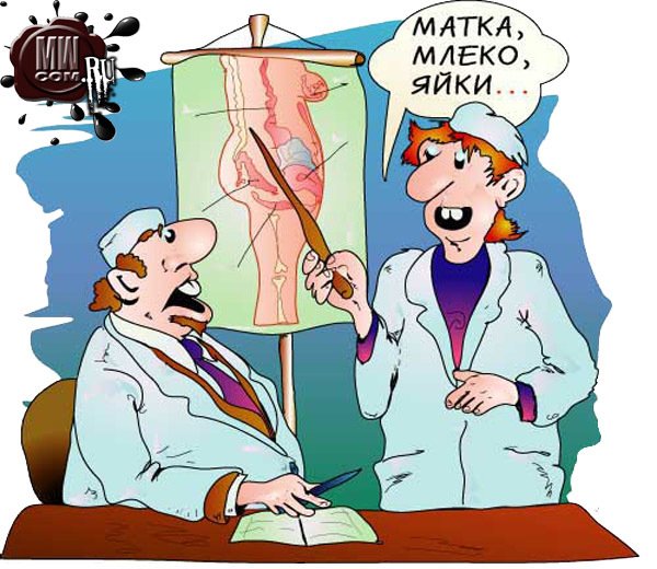 Шутки про гинекологов