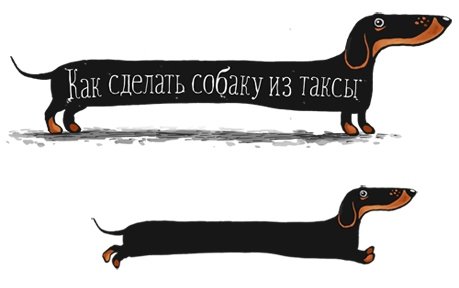 Прикольные карикатуры таксы