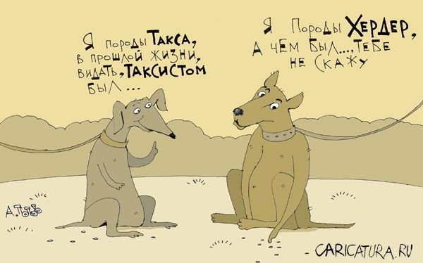 Такса карикатура веселая