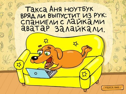 Анекдоты про таксу