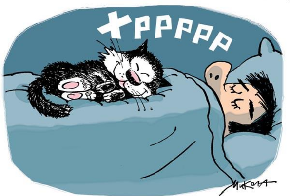 Спокойной ночи карикатура