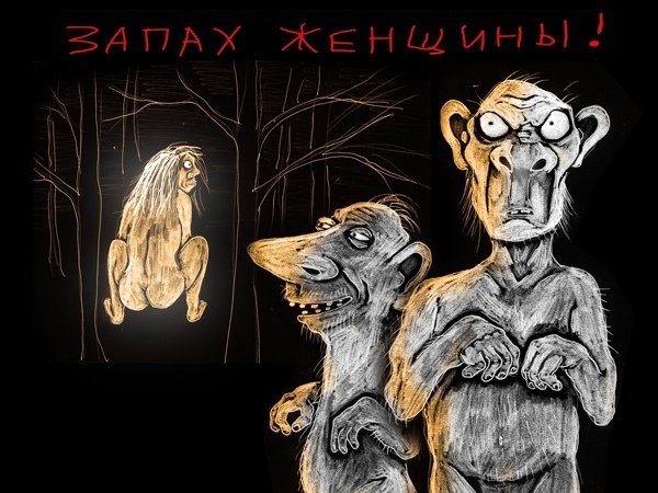 Вася Ложкин Украина