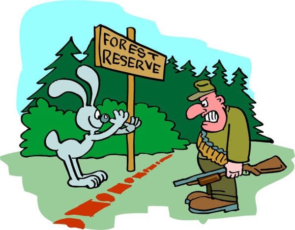 Карикатуры про охоту