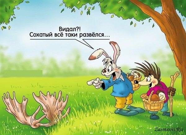 Рога карикатура