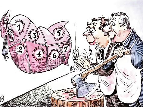 Распил бюджета карикатура