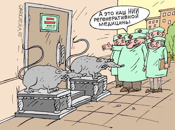 Студент карикатура