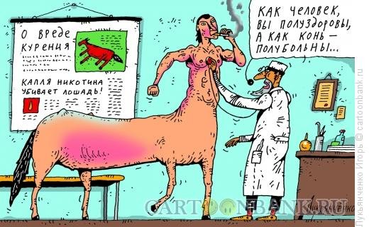 Шутки про кентавров