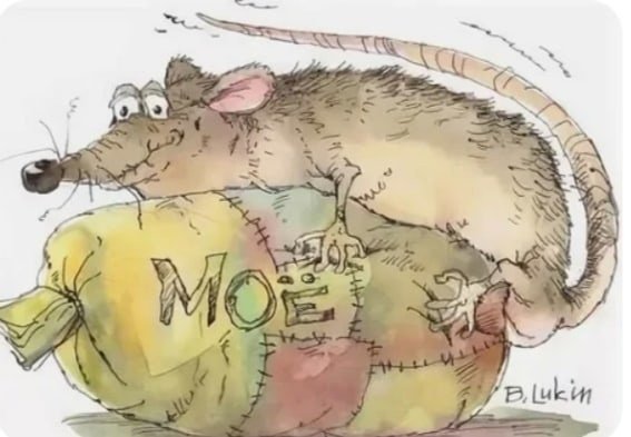Крыса карикатура смешная