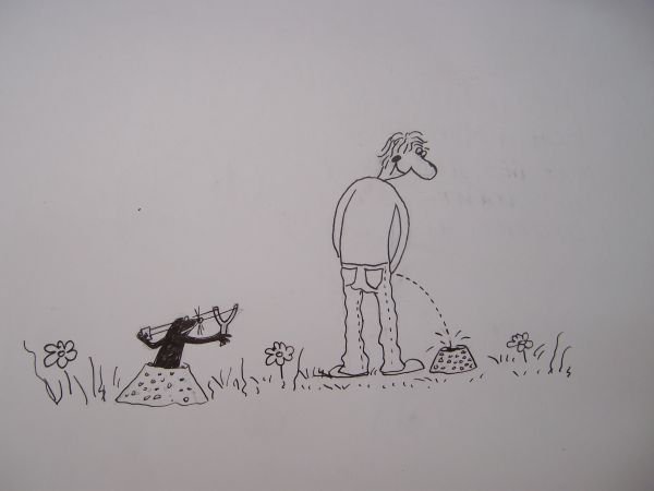 Карикатуры петрова александра (50 фото)